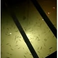 thumbnail image 6 of FSLiving USB LED Charging 5V Underwater Fishing Light Fish Attracting Light,Night Fishing Light Portable Field Lighting Submersible Fishing Light 6W Finder Crappie Squid Light 13ft,Warm White - 1 Pack, 6 of 7