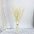 thumbnail image 3 of 30PCS Pampas Grass, 17.7" Small Dried Pampas Grass Decor Pompass Grass Branches for Boho Home Wedding Flower Arrangements Party Decor, 3 of 8