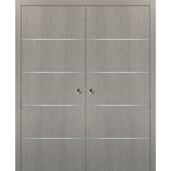 Modern Double Pocket Doors 64 x 80 with Frames