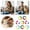 Y80 Multicolour A, variant on 8Pcs Rainbow Pom Pom Dog Collar, Soft Elastic Pet Necklace With Plush Balls, Cute Neckwear For Small Dogs And Cats, Photo Props Party Decor