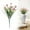 A, variant on ZMKIAG Plastic Artificial Oncidium Flowers, Natural Appearance and Colors Artificial Faux Flowers Plants for Outdoors Indoor Decoration for Weddings, Gardens, Offices, and More.