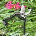 thumbnail image 3 of 6/8mm Stainless Steel Pruning Shears Spring Trimming Scissor Replacement Part Universal Garden Pruner Fruit Branch Grafting Tool 6cm 1pcs, 3 of 6