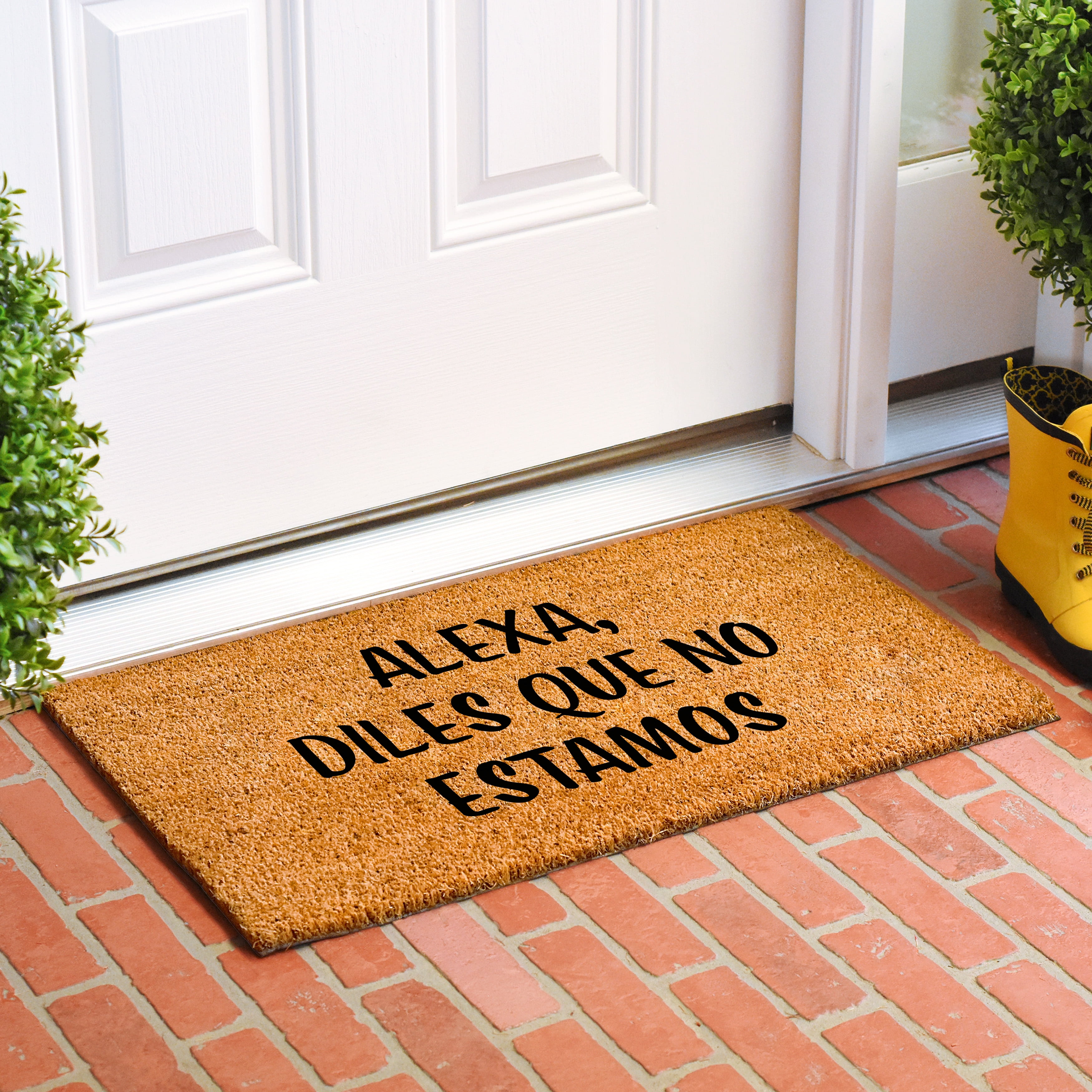 Calloway Mills 111652436 Alexa, diles que no estamos Doormat 24" x 36"