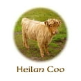 thumbnail image 3 of CafePress - Heilan Coo (Highland Cow) Women's Light Pajamas - Women's Short Sleeve Print T-Shirt and Pants Light Cotton Pajama Set, 3 of 7