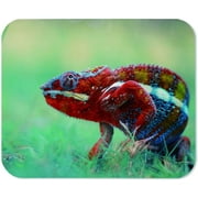 Yeuss Chameleon Mouse Pad Rectangular Non-Slip Mousepad, Indonesia Wild Animal Reptile Chameleons Gaming Mouse Pads,