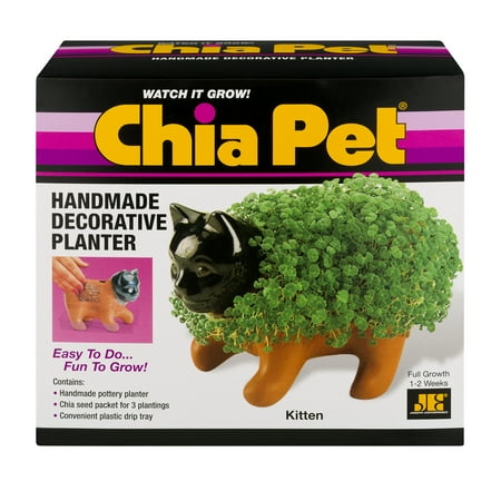 As Seen on TV Chia Pet - Kitten - Handmade Decorative Planter