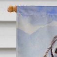 thumbnail image 3 of Carolines Treasures 7058CHF Kuvasz Flag Canvas House Size, 3 of 4