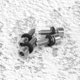 thumbnail image 4 of 4Pcs Adapter Screws for Taylormade Golf M1 M2 M3 M4 M5 SIM Adapter Sleeve Golf Accessories, 4 of 5