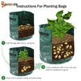 thumbnail image 6 of Spencer 2/4 Pcs Potato Grow Bags 10 Gallon Heavy Duty Thickened Growing Bags Planting Pots Container Garden Vegetable Planter, 6 of 8
