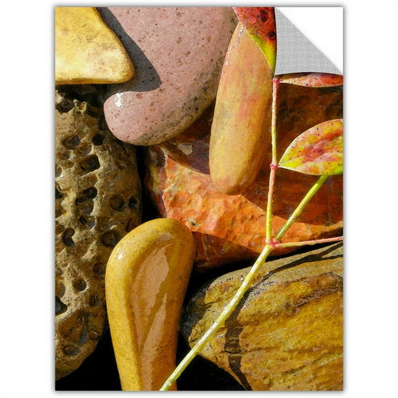 Artapeelz Dean Uhlinger "Natural World 20" Removable Wall Art Graphic