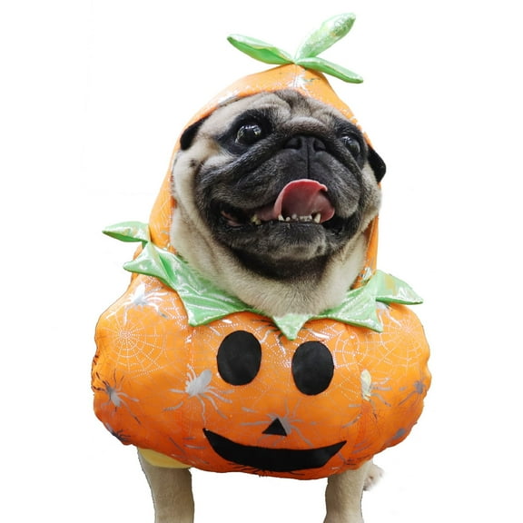 BT Bear Small Dog Pumpkin Outfit,Dog Halloween Pumpkin Costume,Funny Cosplay Dress Up Pumpkin Hat for Puppy Small Medium Dogs,Perfect for Halloween Christmas Holiday Parties S