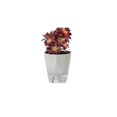 thumbnail image 1 of Macetas sin riego Macetas autoabsorbentes Macetas suculentas de orquídeas de balcón de plástico, 1 of 13