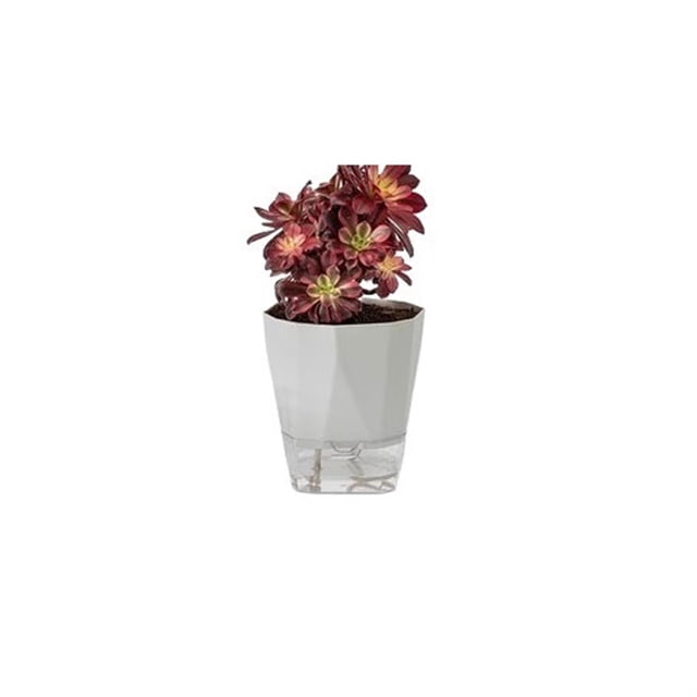 Macetas sin riego Macetas autoabsorbentes Macetas suculentas de orquídeas de balcón de plástico