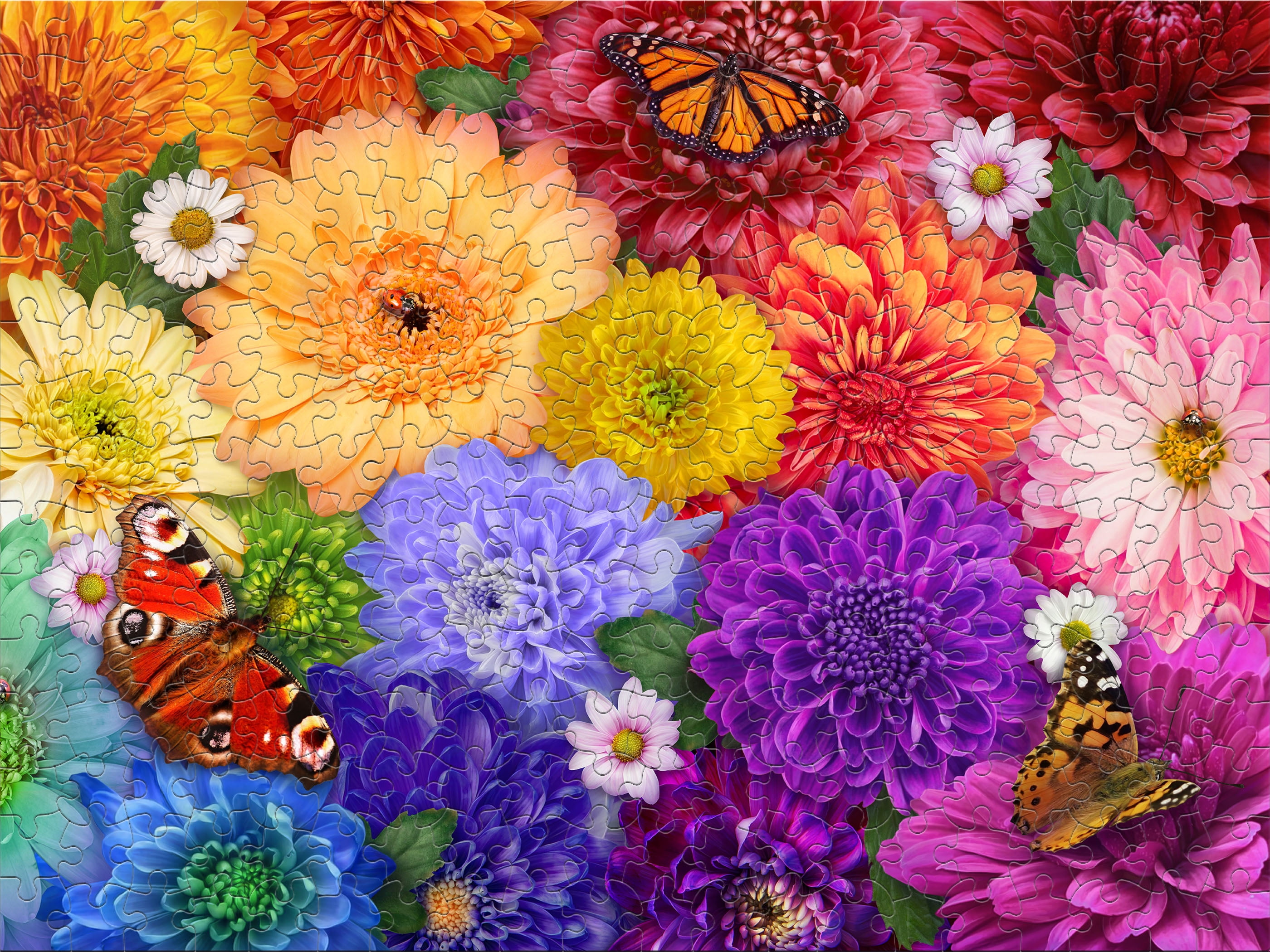 Ceaco 300 Piece Flower Spectrum (Lena) Interlocking Jigsaw Puzzle
