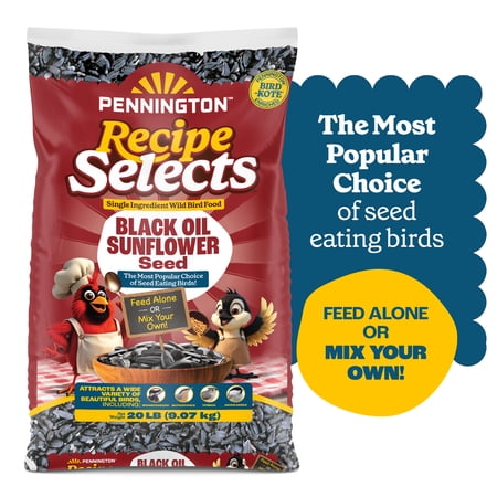 Pennington Recipe Selects Black Oil Sunflower Seed Dry Wild Bird Feed, Bird Food, 20 lb. Bag, 1 Pack