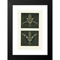 thumbnail image 2 of Christopher Dresser 16x24 Black Modern Framed Museum Art Print Titled - The Art of Decorative Design Pl23 (1862), 2 of 5