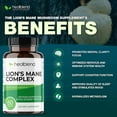 thumbnail image 4 of Healblend 100% Natural Lions Mane Mushroom Supplement - Supports Immune System, Mental Clarity, Memory & Focus, Stimulates Mood - 2-Pack, 4 of 9