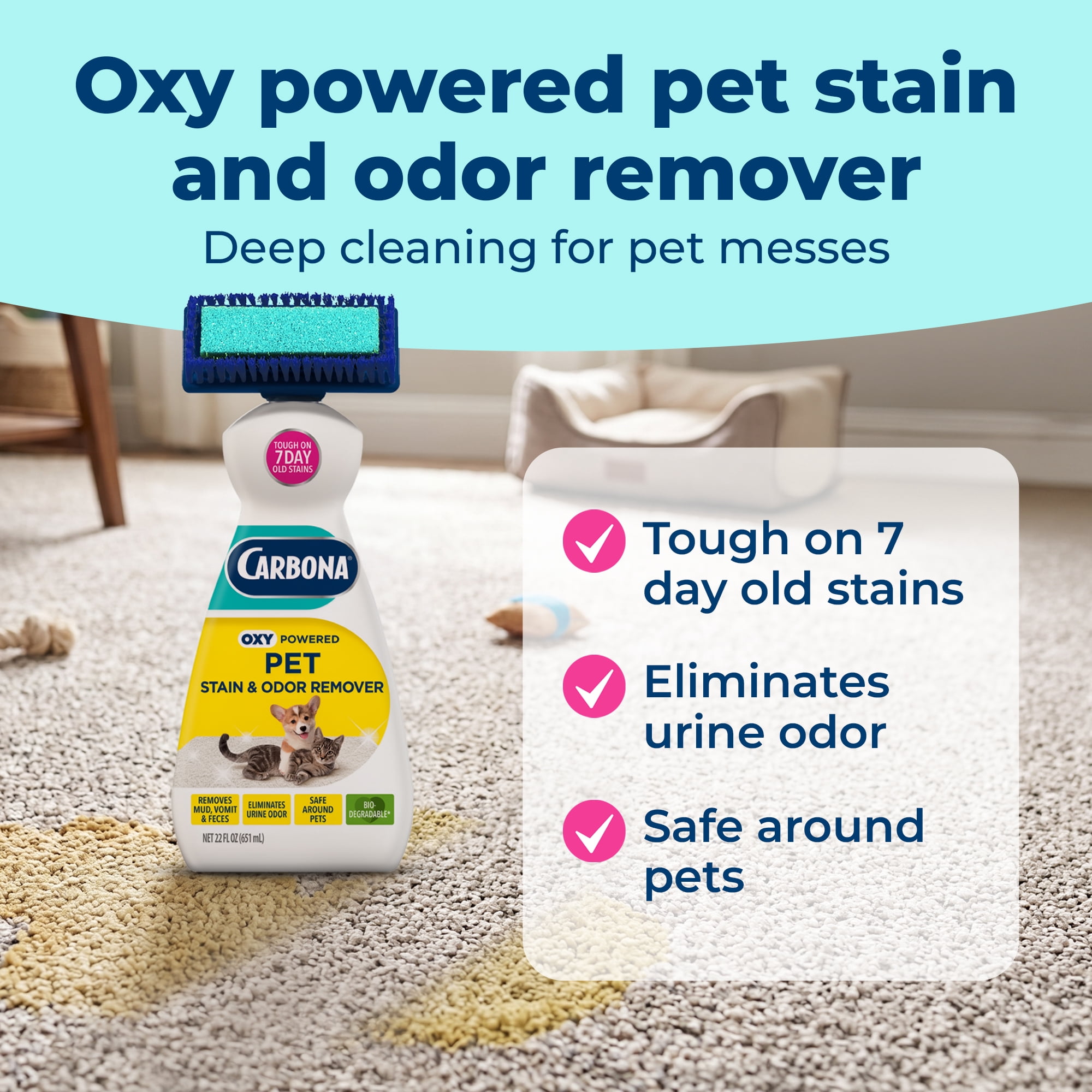 (2 pack) Carbona 2-in-1 Oxy-Powered Pet Carpet Cleaner & Odor Remover, Dual Brush Sponge, 22 Fl Oz