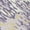 Purple, variant on Addison Rugs Chantille Indoor/Outdoor Transitional Stripes Brown Washable Rectangle Rug, 10' x 14'