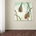 thumbnail image 3 of Trademark Fine Art 'Not a California Poppy II' Canvas Art by Chris Paschke, 3 of 3