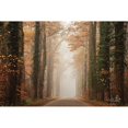 thumbnail image 3 of Podt, Martin 14x11 Black Modern Framed Museum Art Print Titled - Foggy Autumn Road, 3 of 5