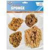 Royal Brush Sponge Set, Wool