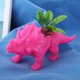 thumbnail image 2 of Maceta de animales Triceratops, maceta para plantas suculentas, decoración de jardín (rosa roja), 2 of 7