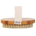 thumbnail image 1 of Cepillo de baño corporal Cerdas naturales de madera Masaje Ducha Spa Cepillos de ducha, 1 of 6