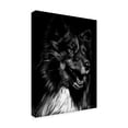thumbnail image 2 of Trademark Fine Art 'Canine Scratchboard X' Canvas Art by Julie T. Chapman, 2 of 4