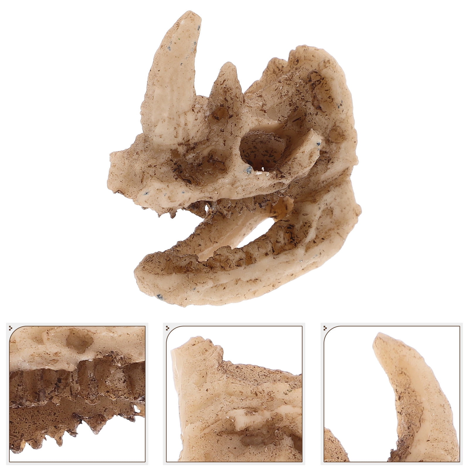 BESTYASH Beige Resin Rhino Skull Decor for Reptile Tank Creative Hiding Place for Lizards Snakes and Turtle Habitat