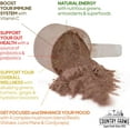 thumbnail image 5 of Country Farms Immune Defense Drink Mix, Mixed Berry Flavor, 11.3 oz. 40 Servings, 5 of 7