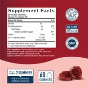 Organic Probiotic Gummies for Adults | 5 Billion CFU for Digestive Health & Immune Support | 60 Ct