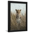 thumbnail image 1 of African Leopard Panthera pardus pardus adult female, stalking in long grass, Masai Mara, Kenya, Framed Art Print Wall Art by Elliott Neep Sold by Art.Com, 1 of 5