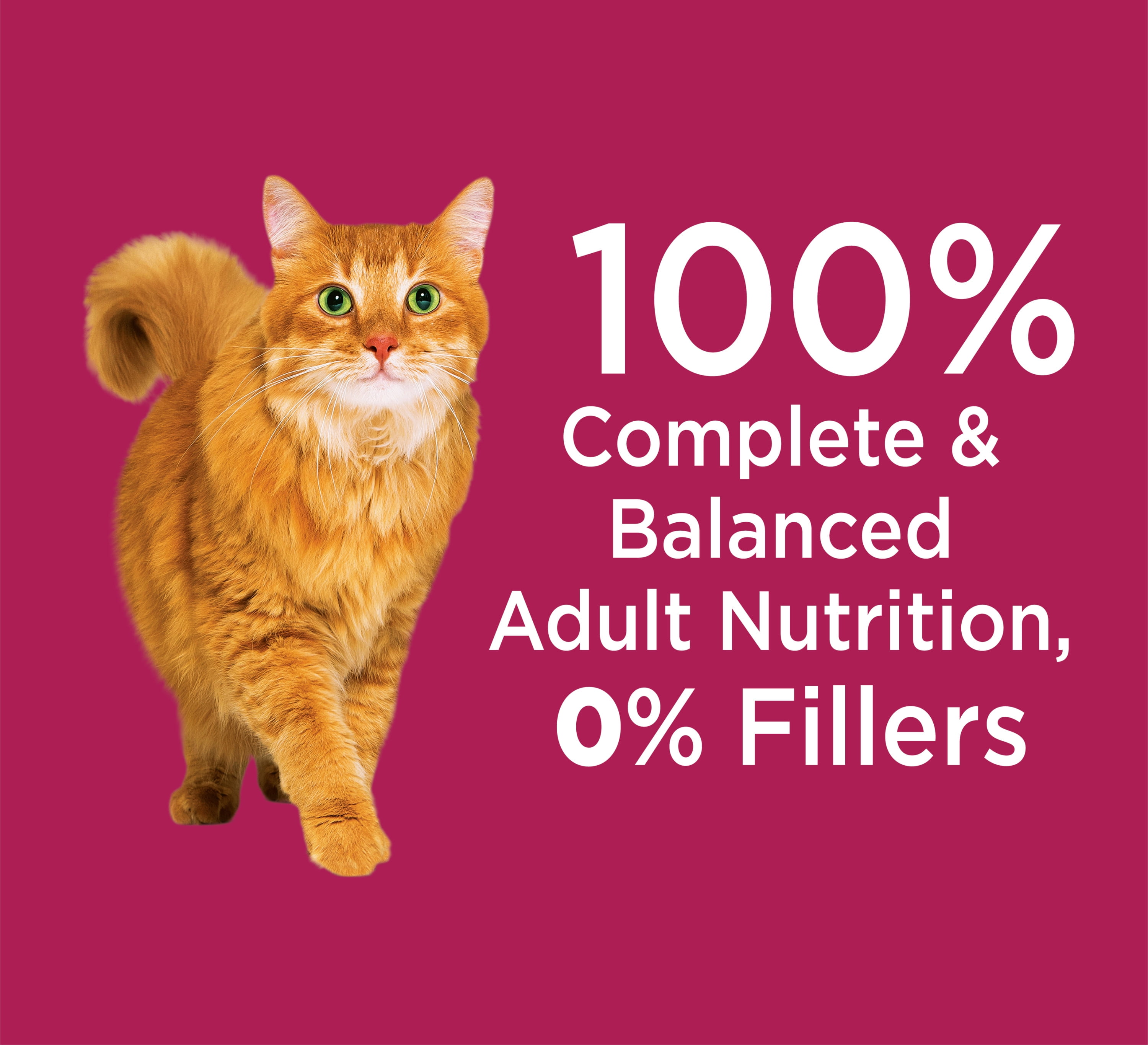 iams urinary health cat food