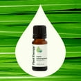 thumbnail image 3 of Plant Therapy Lemongrass Organic Essential Oil 100% Pure, USDA Certified Organic, Undiluted 10 mL (1/3 oz), 3 of 8