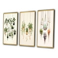 thumbnail image 3 of Designart "Boho Botanical Watercolor Hanging Houseplants IV" Abstract Botanicals Framed Wall Art Set Of 3 - Green Modern Frame Gallery Set For Office Decor, 3 of 6