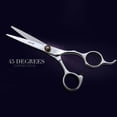 thumbnail image 2 of Professional Hair Cutting Scissors Set Stainless Steel Scissors Comb Kit, 2 of 8