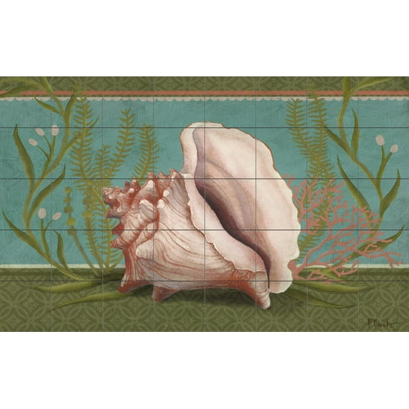 Tile Mural Bathroom Backsplash - Emerald Reef Conch Shell-PB - by Paul Brent