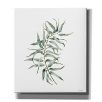 Epic Graffiti 'Eucalyptus I' by Seven Trees Design, Canvas Wall Art, 26"x30"