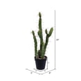 thumbnail image 2 of Vickerman 24" Artificial Green Cactus, Black Plastic Planters Pot., 2 of 2