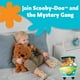 thumbnail image 5 of Peluche KIDS PREFERRED Warner Bros. Scooby-Doo, 5 of 5