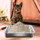 thumbnail image 4 of Caja de arena pequeña para el hogar, caja de arena para gatos de estilo abierto, bandeja de arena antiadherente S, 4 of 5