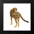 thumbnail image 2 of Warren, Annie 15x15 Black Modern Framed Museum Art Print Titled - Golden Cheetah II, 2 of 5