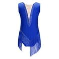 thumbnail image 3 of Haitryli Kids Girls Tassel Ballroom Latin Dance Dress Skating Gymnastic Leotard Modern Jazz Dancewear Blue 14, 3 of 7