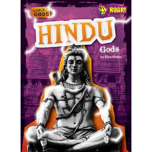 A World of Gods Hindu Gods, (Hardcover)