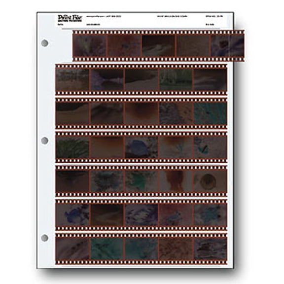 Print File 35mm Size Negative Pages Holds Seven Strips of Five Frames, Pack of 25