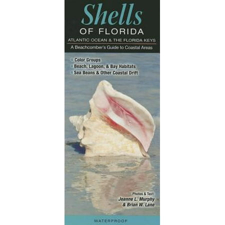 Shells of Florida-Atlantic Ocean & Florida Keys : A Beachcomber's Guide to Coastal