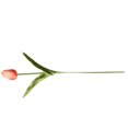 thumbnail image 3 of Inteprter Mini flor artificial, lirio único, tulipán, flor monarca, flor falsa de PU, decoración para el hogar y la Oficina, decoración para Flores artificiales toronja Inteprter HA6563-14B, 3 of 6
