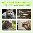 thumbnail image 3 of cat Spray,Catnip Spray for Indoor Cats,Cat Anxiety Relief,Anti Scratch Cat Spray,Cat Calming Spray (1pc), 3 of 4