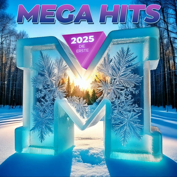 Various Artists MegaHits 2025 - Die Erste (CD)